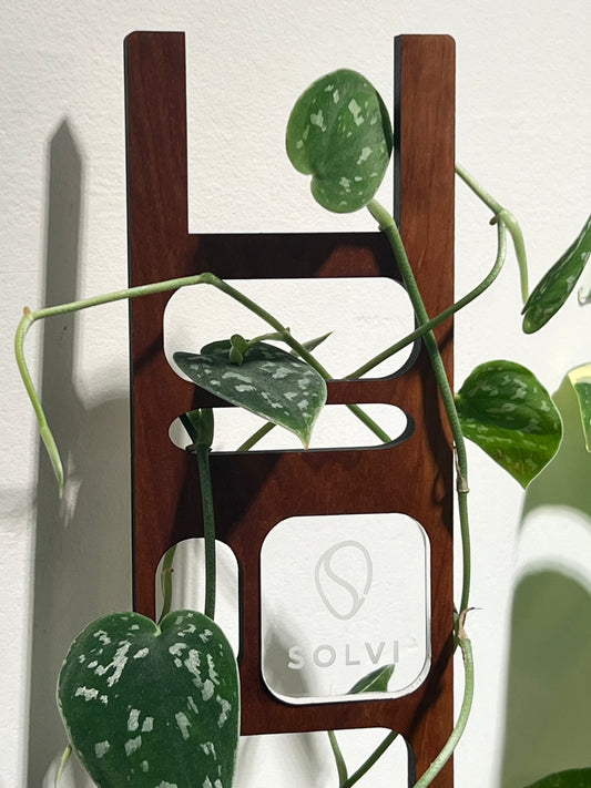 Quadra Red Cedar Double Plant Trellis