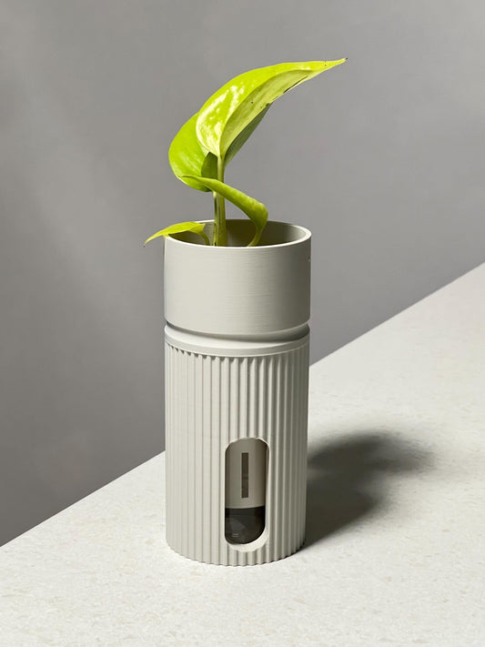 Individual Minia Self-Watering Plant Pots Ideal for Alocasia - 18 Colours