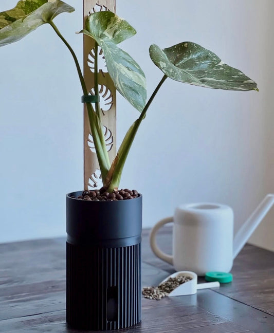 A plant with fertilising accessories
