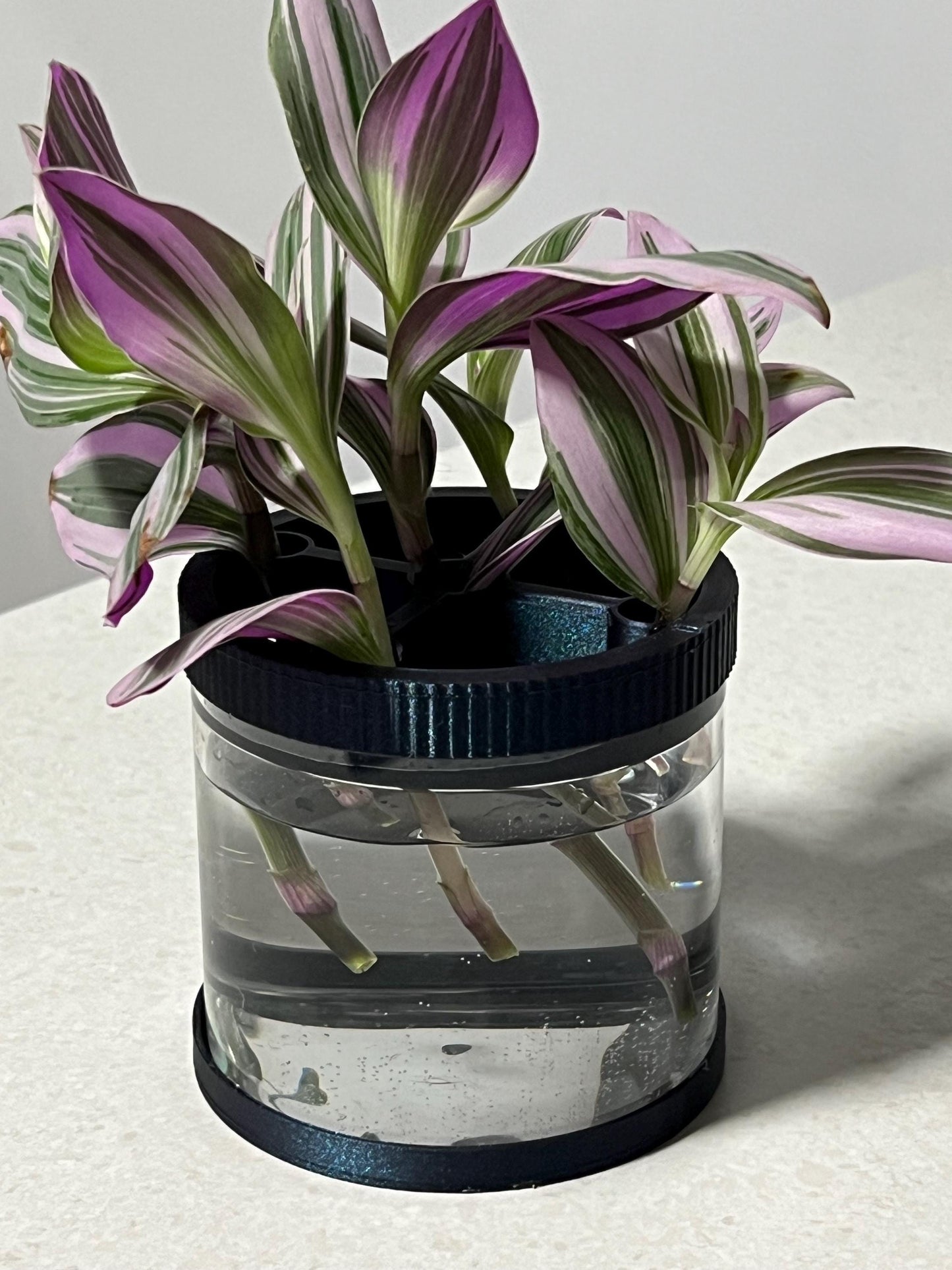 Pod Glass Mini Propagation Station - 19 Colours