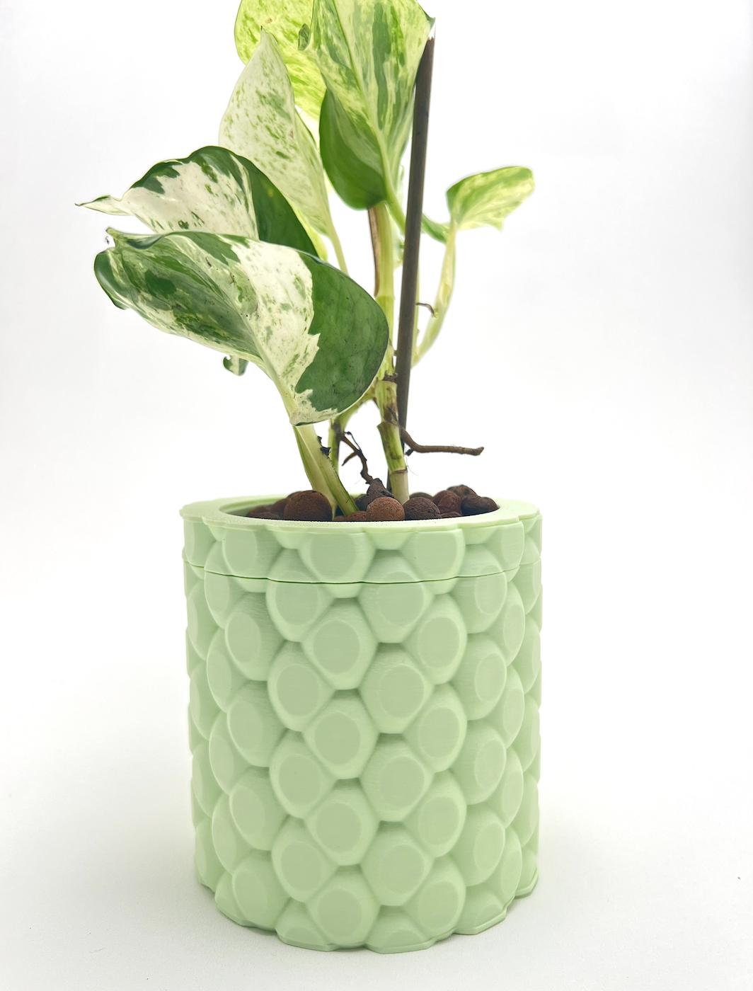 Quilta Self-Watering Plant Pot - 19 Colours