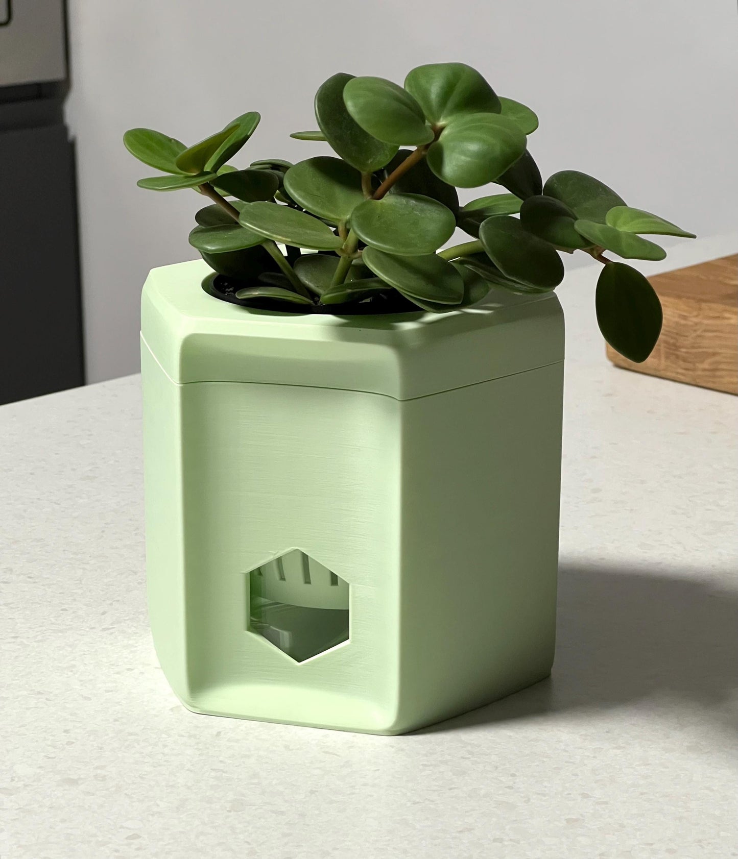 Hexa Self-Watering Plant Pot - 19 Colours