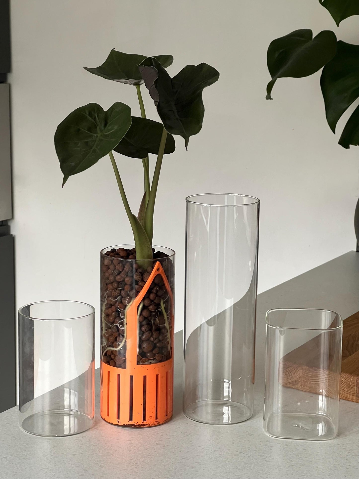 Simpla Visible Root Self-Watering Planter - 19 Colours