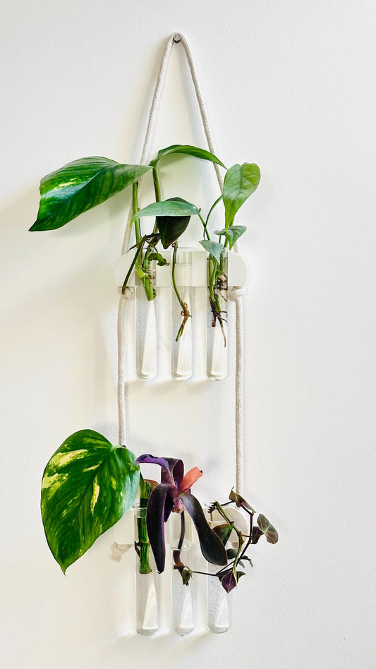 Via Test Tube Wall Hanging Propagation Station - 18 Colours
