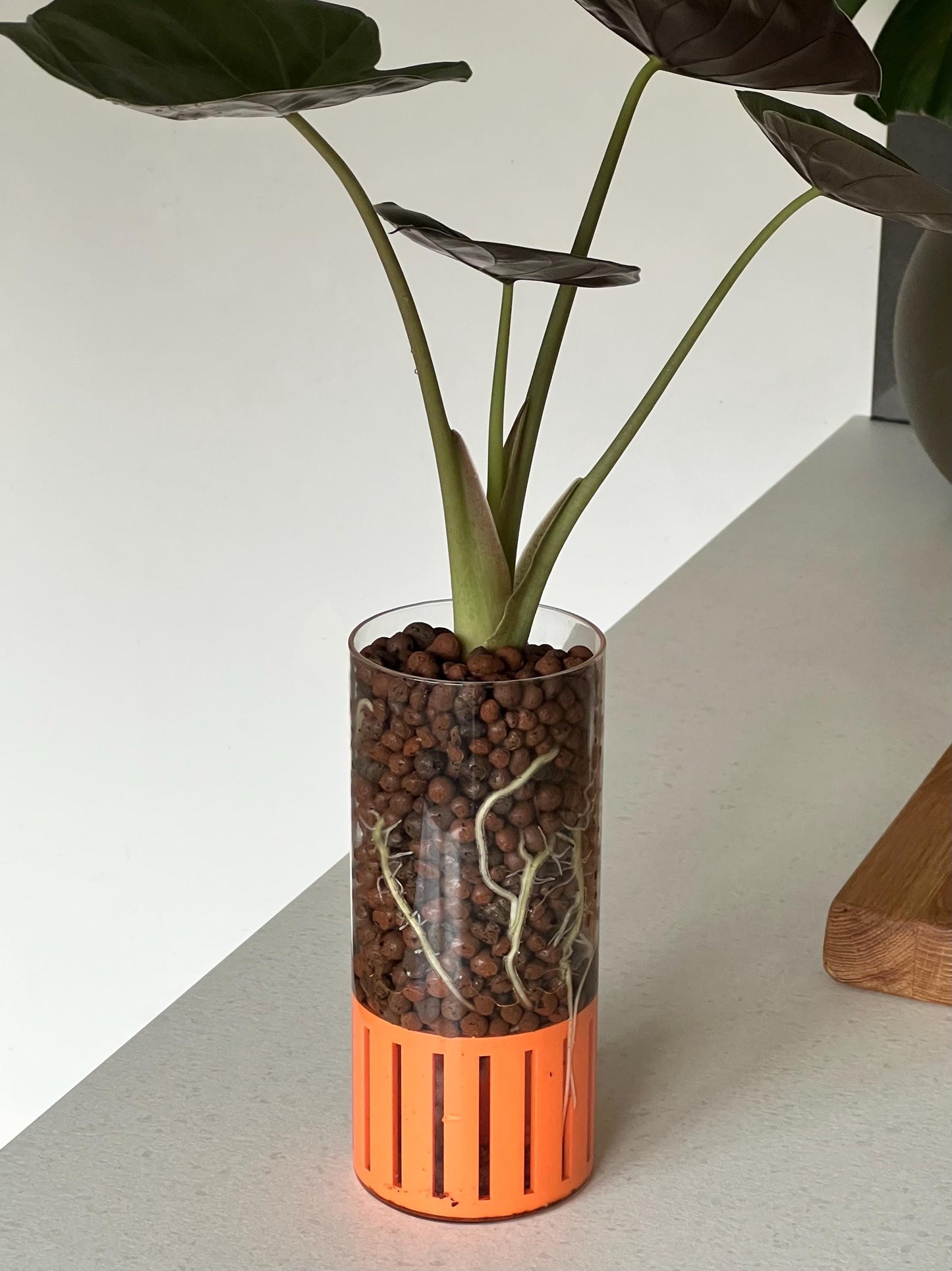 Simpla Visible Root Self-Watering Planter - 19 Colours