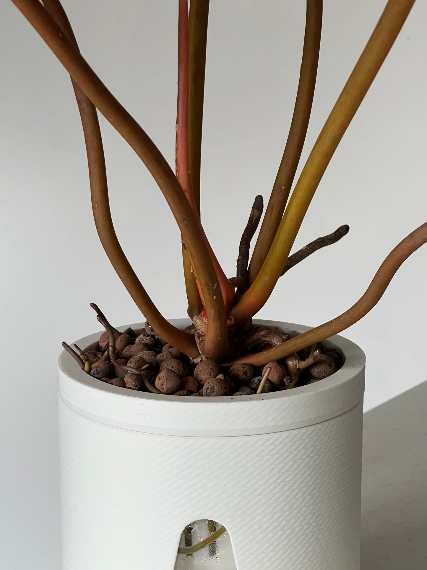 Plant Stem Support 4 Pack