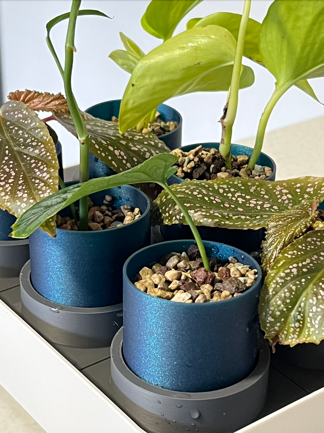 Starter Bag of medium PON mix - for our Self-Watering Plant Pots