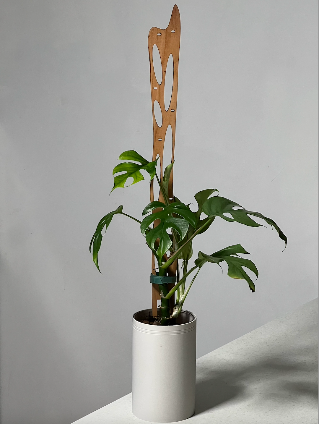 Flux Red Cedar Slim Plant Trellis