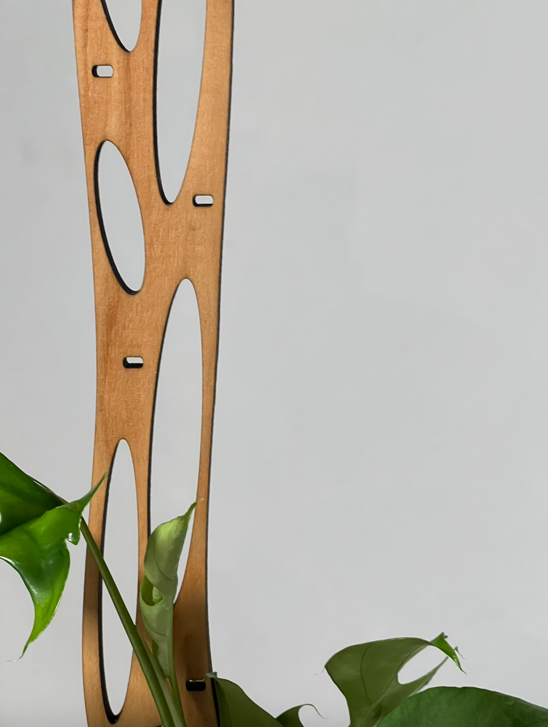 Flux Red Cedar Slim Plant Trellis