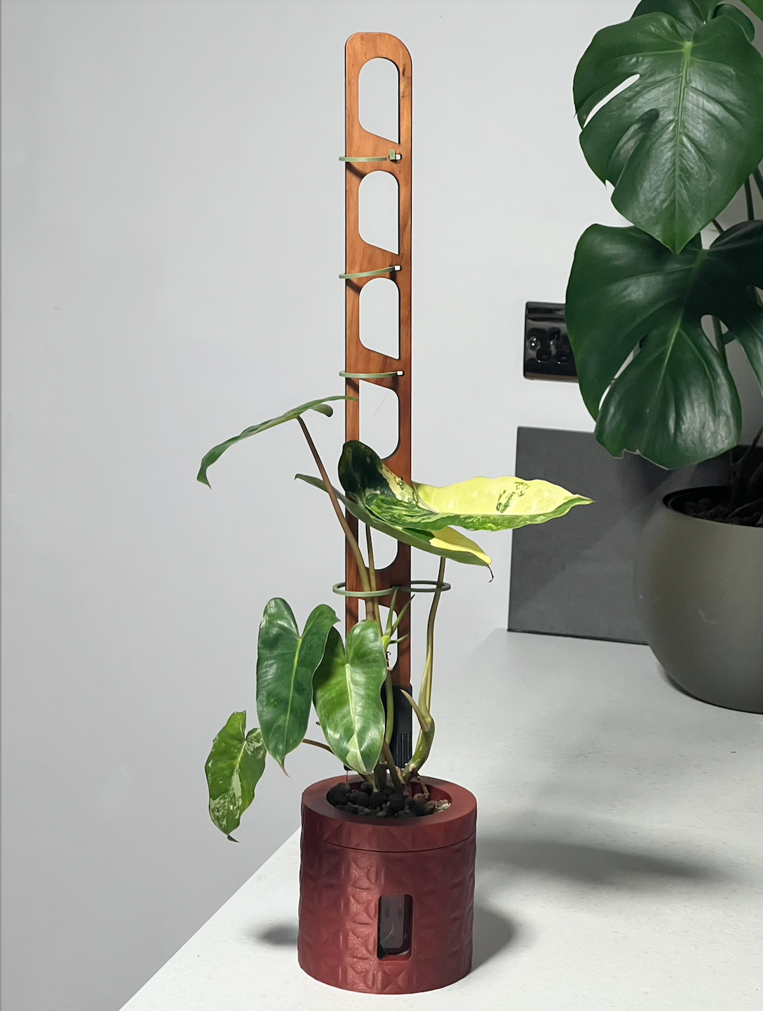 Linka Red Cedar Slim Duo Plant Trellis