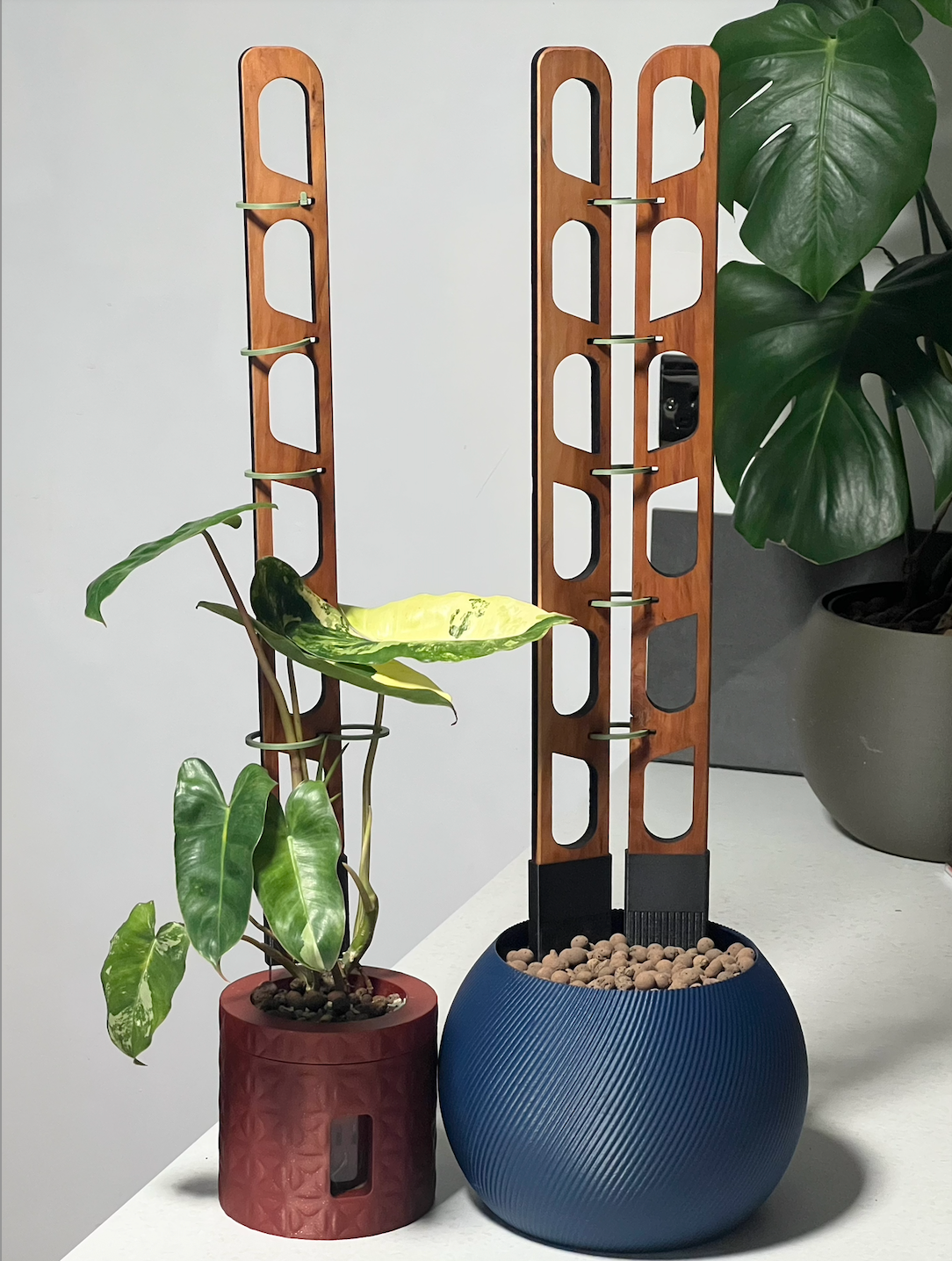 Linka Red Cedar Slim Duo Plant Trellis
