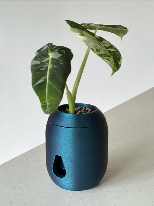 Coda Self-Watering Plant Pot - 18 Colours