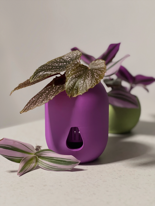 Coda Self-Watering Plant Pot - 18 Colours
