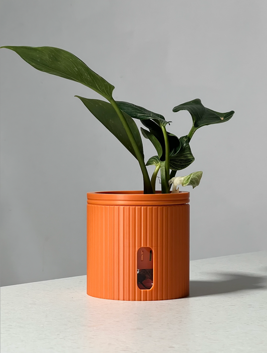 Edené Mini Self-Watering Plant Pot - 18 Colours