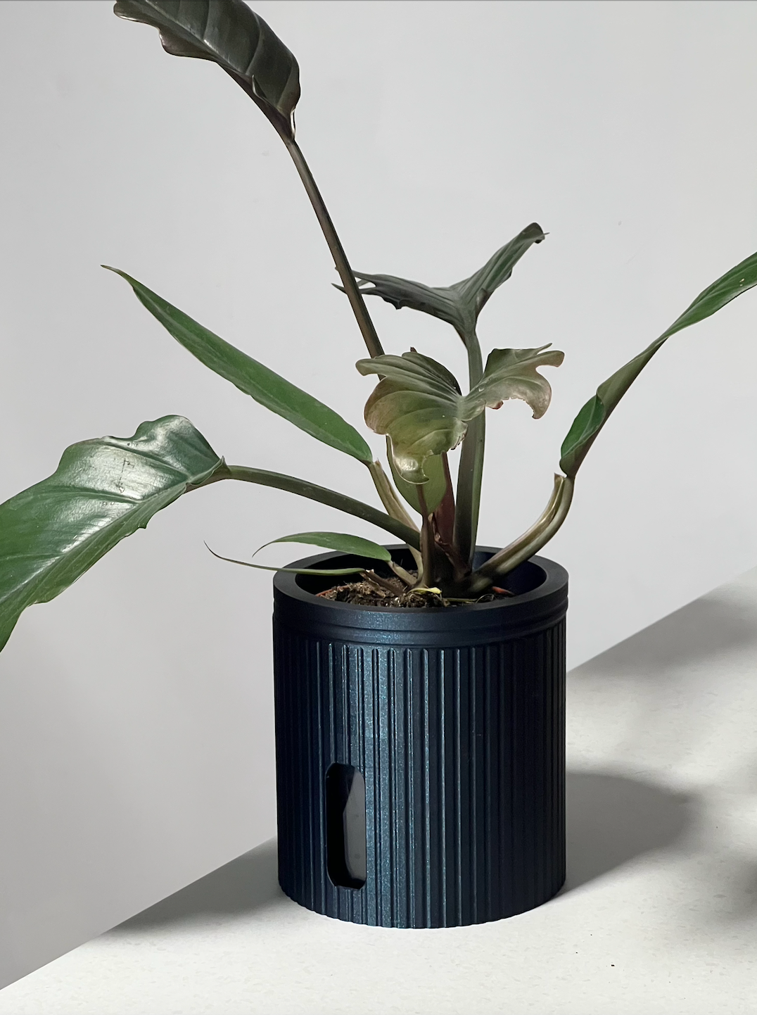 Edené Large Self-Watering Plant Pot - 19 Colours