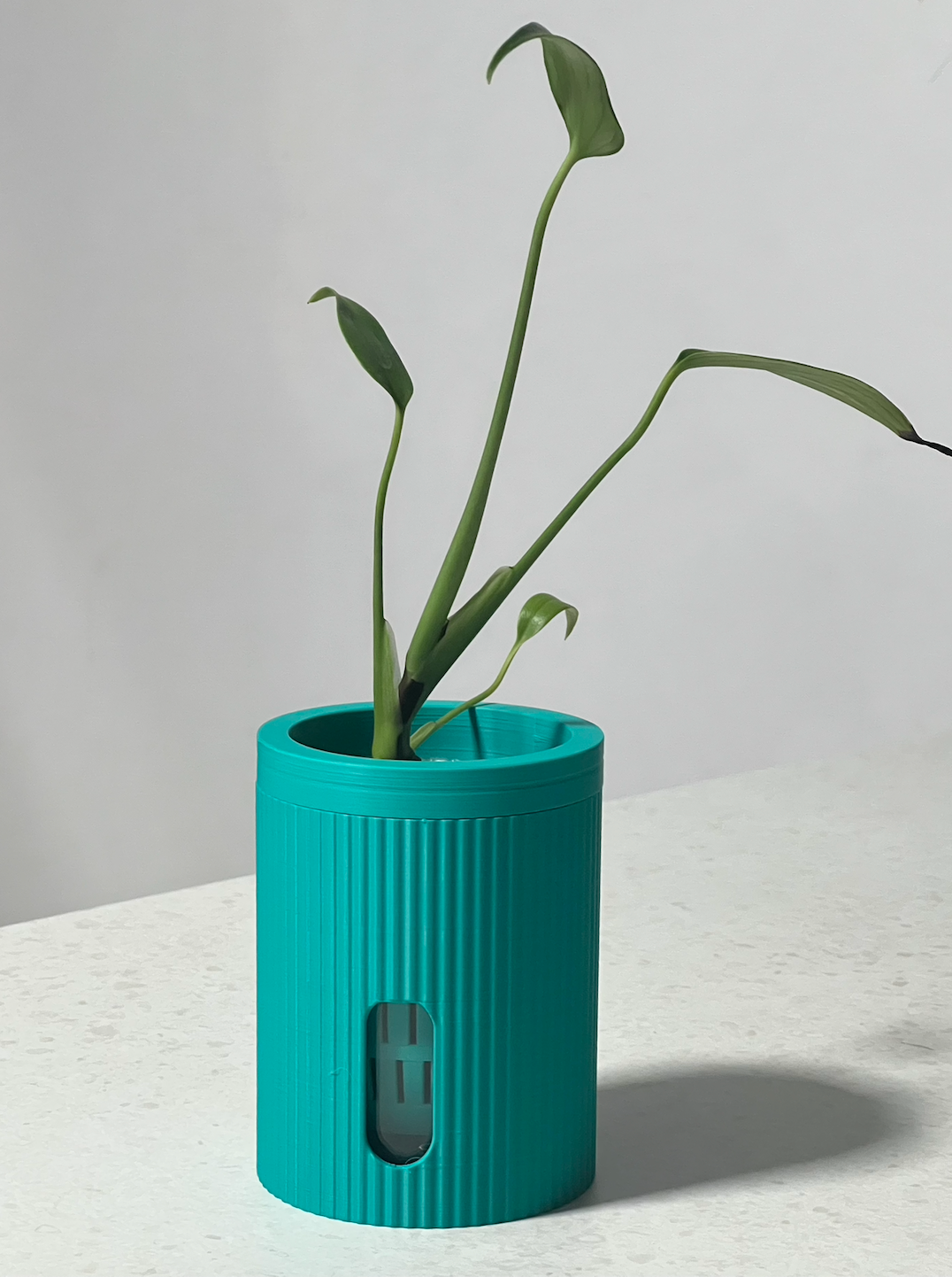 Edené Micro Self-Watering Plant Pot - 19 Colours