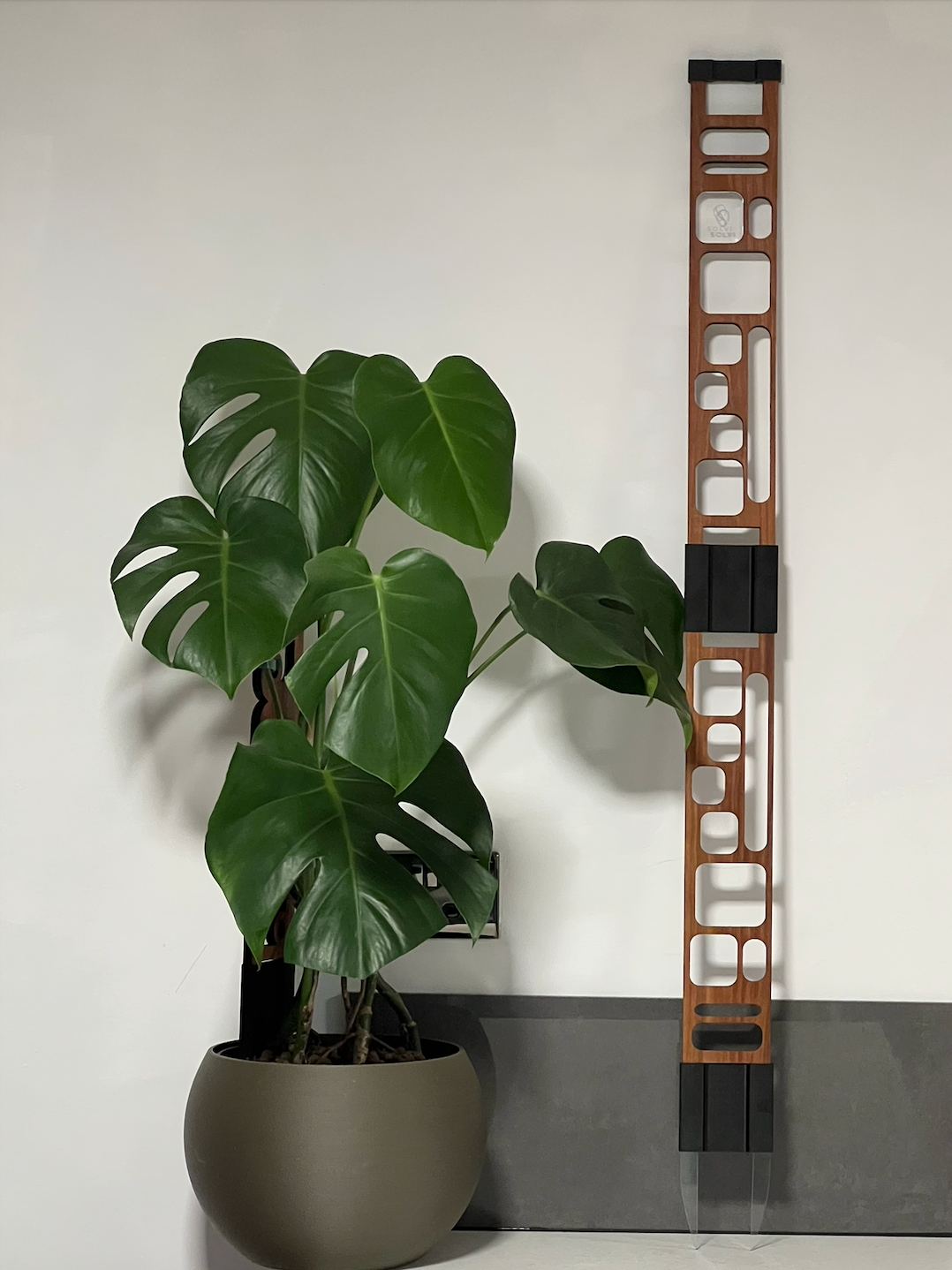 Quadra Red Cedar Double Plant Trellis