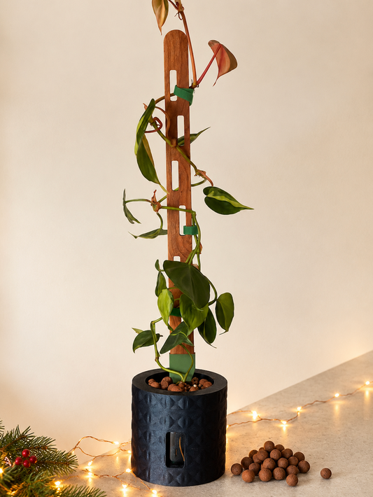 a gift set showing a self watering sparkly plant pot with a trailing planrt growing up a wooden trellis, surrounded by fairy lights