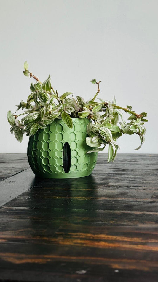 An olive green semihydro Tirla houseplant pot by Solvi 3D, containing a tradescantia plant, pictured on a wooden table.