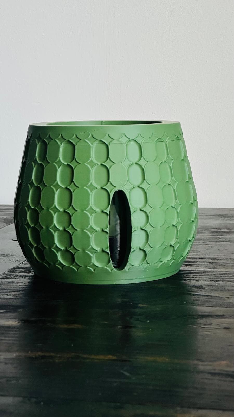 Christmas Semi-Hydro Gift Set with Self-Watering Pot, Trellis & LECA | Designed & Made in Cornwall