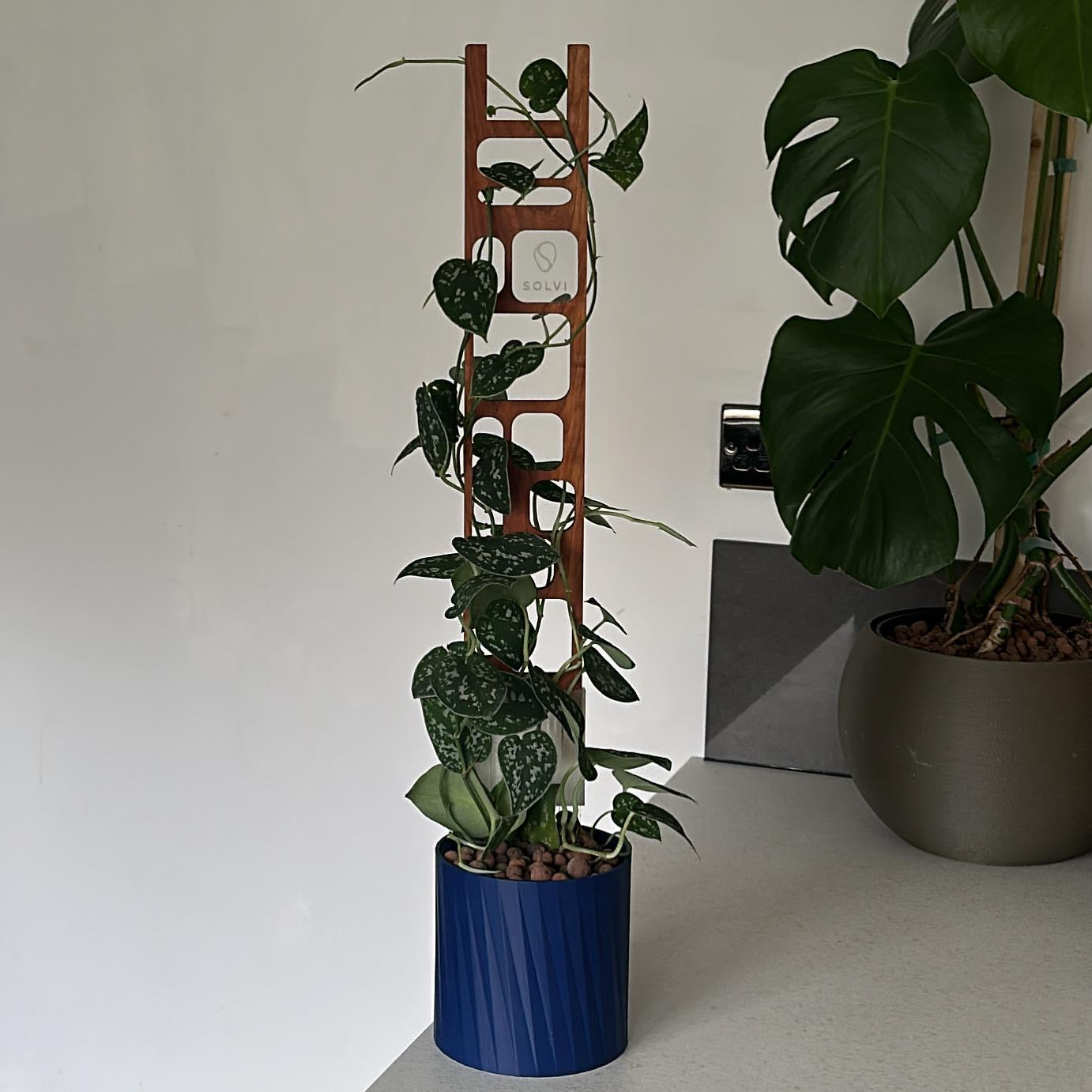 Quadra Red Cedar Single Plant Trellis