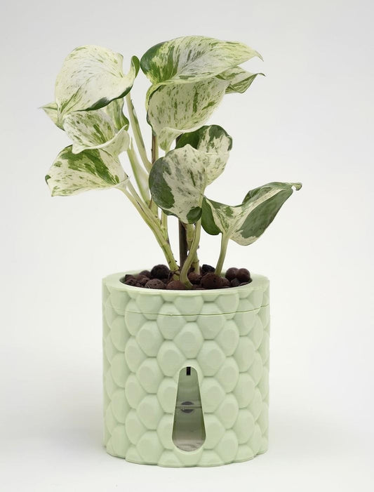 Quilta Self-Watering Plant Pot - 18 Colours